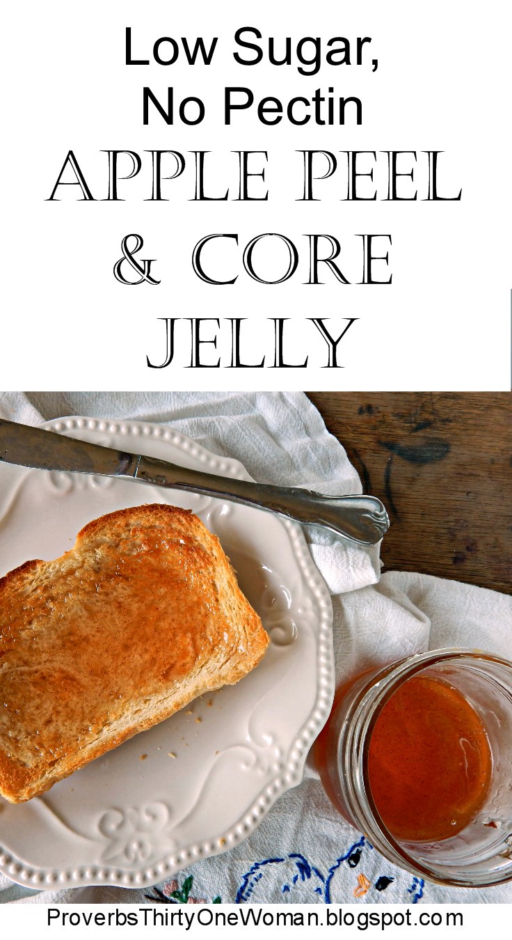 Low Sugar, No Pectin Apple Peel and Core Jelly Recipe Proverbs 31