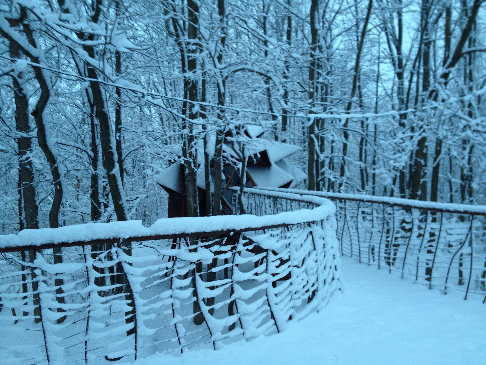 O2 Treehouse