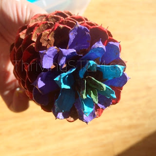 This multiplication pine cone craft is really popular. Very pretty and effective.