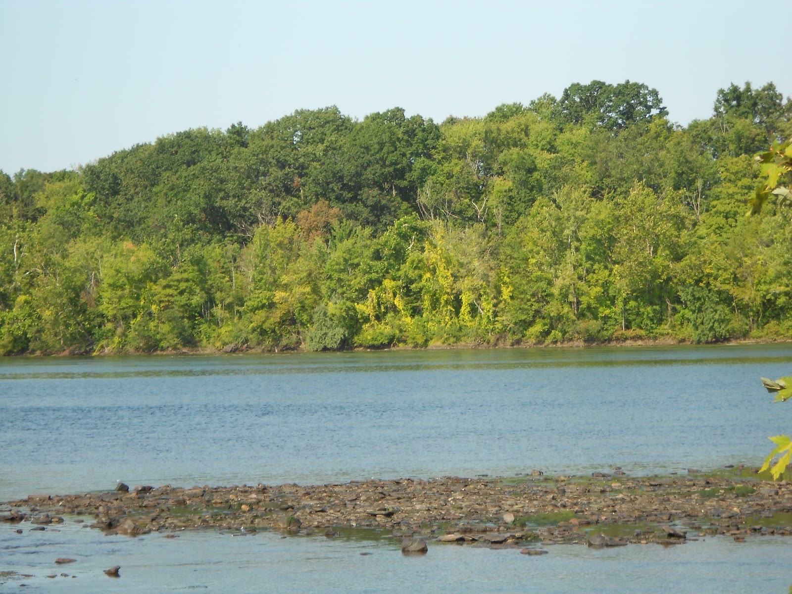 Look What I'm Up To Now! King's Island Wildlife Management Area
