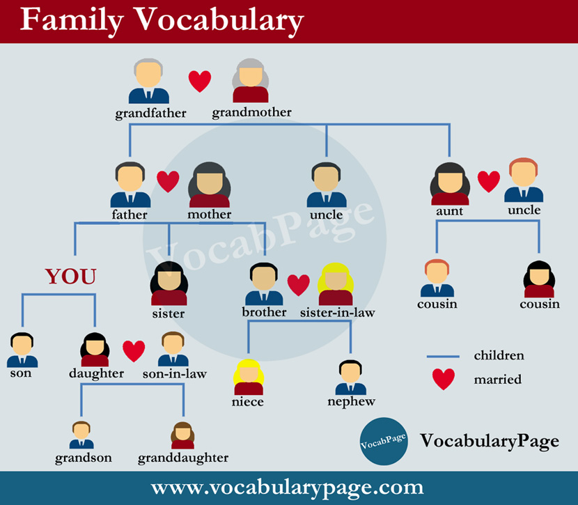 My friends uncle. Family Vocabulary. Family Vocabulary английский. Семья на английском. Family Words Vocabulary.