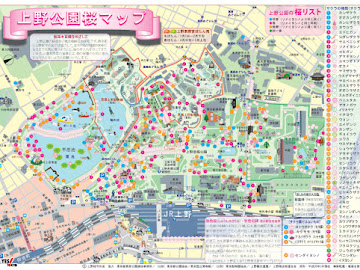上野恩賜公園是東京其中一個最有名的賞櫻地方，自江戶時代起已經是有名的賞櫻名所，最初的櫻花是由創立寛永寺的僧人由奈良的吉野山移植過來。公園種有大約1200棵(根據上野恩賜公園官網)，約50個品種櫻花，是東京市中心其中一個擁有最長櫻花花期的地方，由1月下旬至4月中下旬都可以欣賞櫻花。...