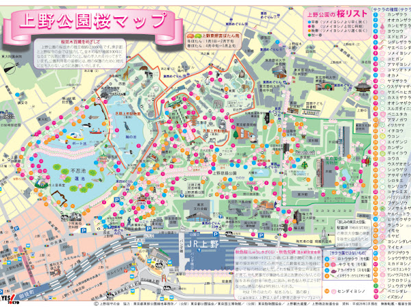 東京上野公園賞櫻攻略