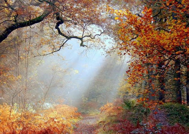 Trải Nghiệm Đài Loan Với Những Cảnh Sắc Đẹp - 1