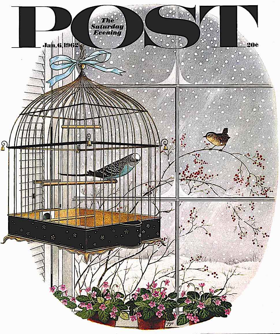 Gyo Fujikawa 1962 illustration a Gyo Fujikawa 1962 illustration for The Saturday Evening Post, a caged indoor bird looks at an outdoor winter bird