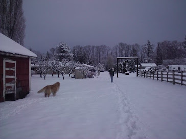 Winter on the Farm