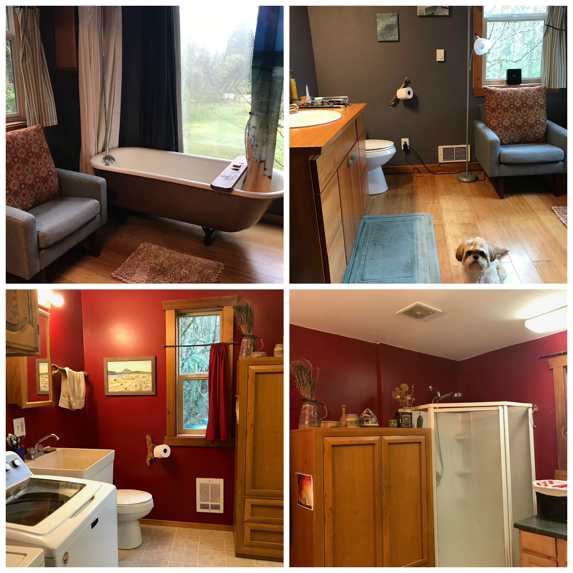 Marblemount Homestead 2020