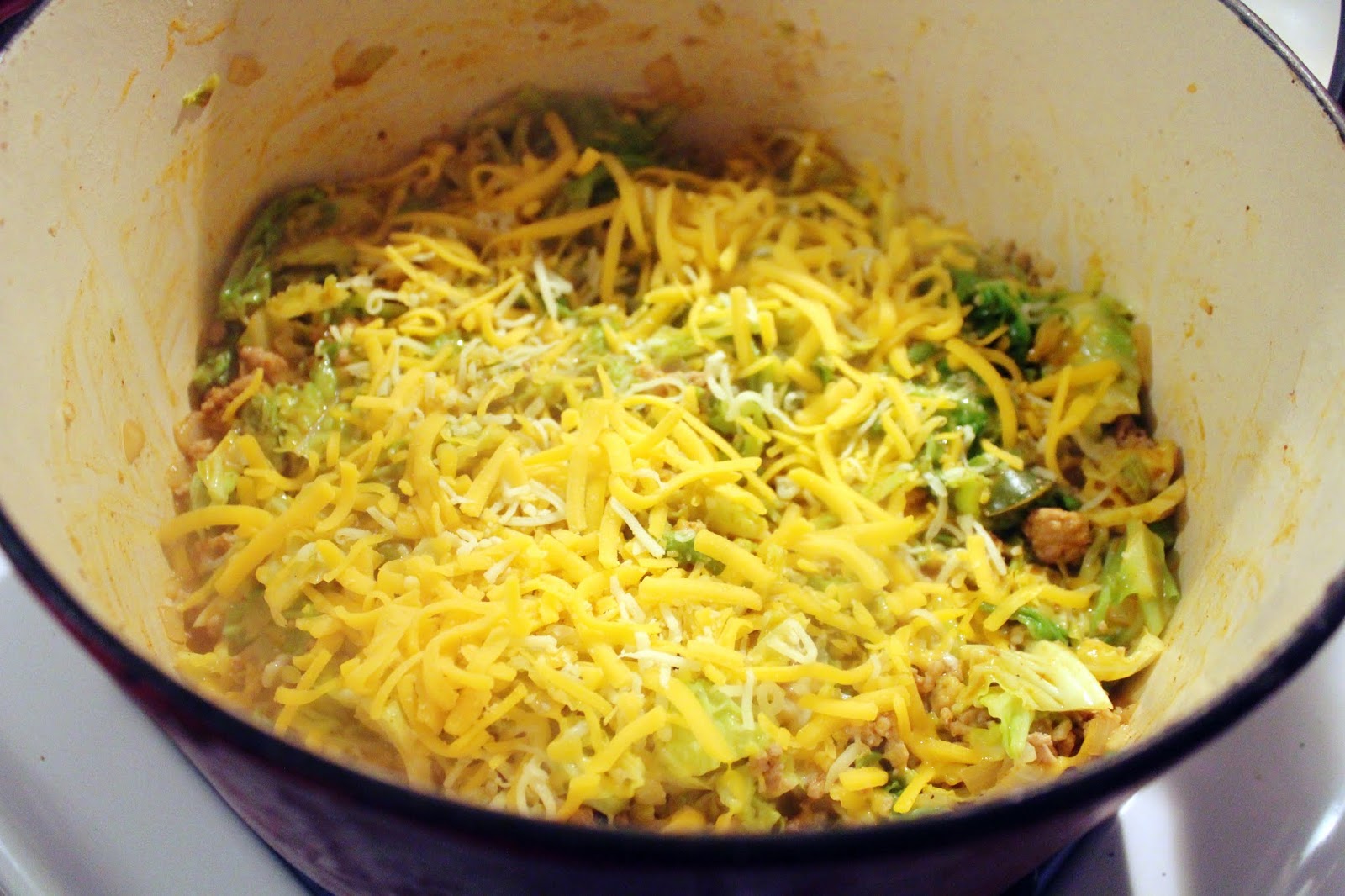 Dinner on the fly strikes again! (One pot Enchilada Cabbage casserole