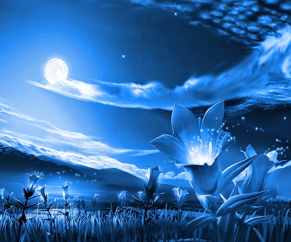 Night Nature HD Wallpapers For PC - Online Fun