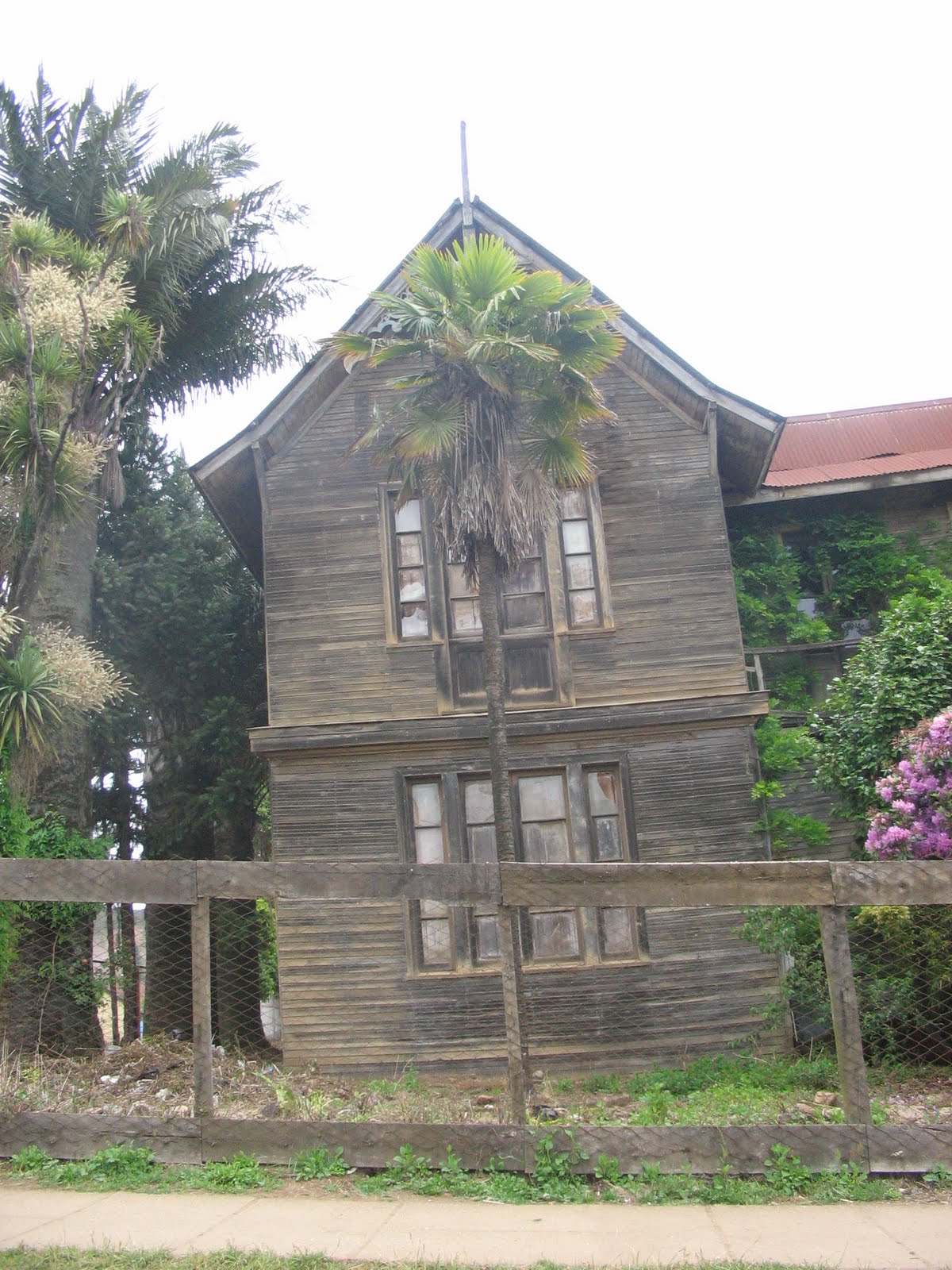 Capitán Pastene Chile Crónicas