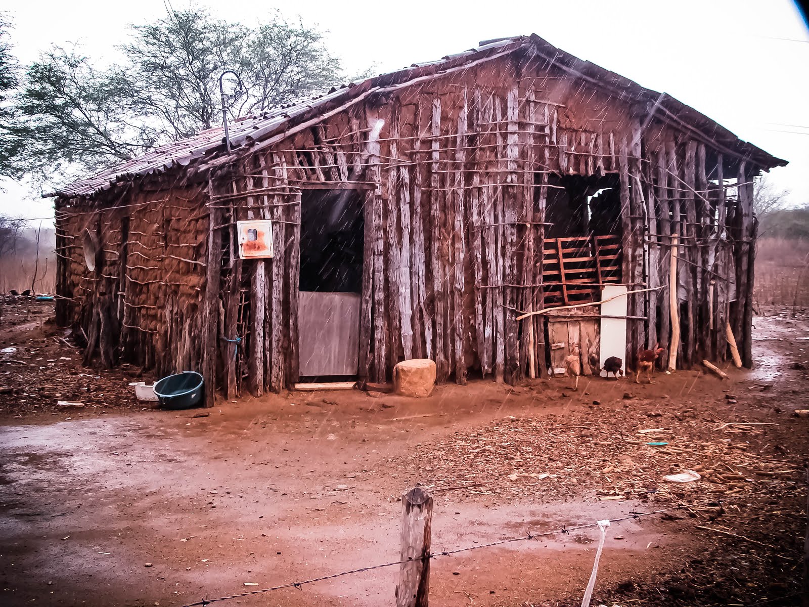 Casa do Sertanejo - Sítio do Areal - Cariri Paraibano