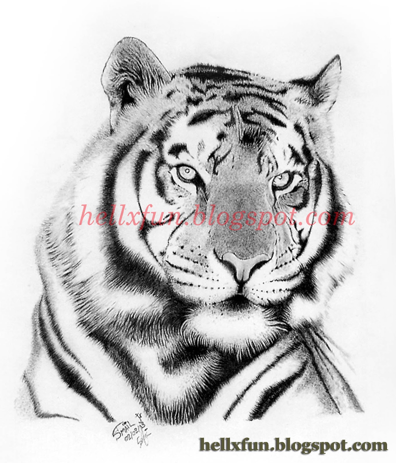 Walking tiger sketch Royalty Free Vector Image