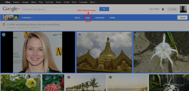 Now you can move,copy, download your photos from your Google Plus Albums