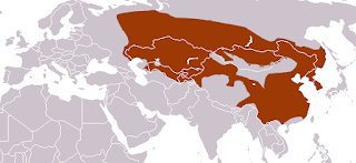 Meles leucurus dağılım haritası