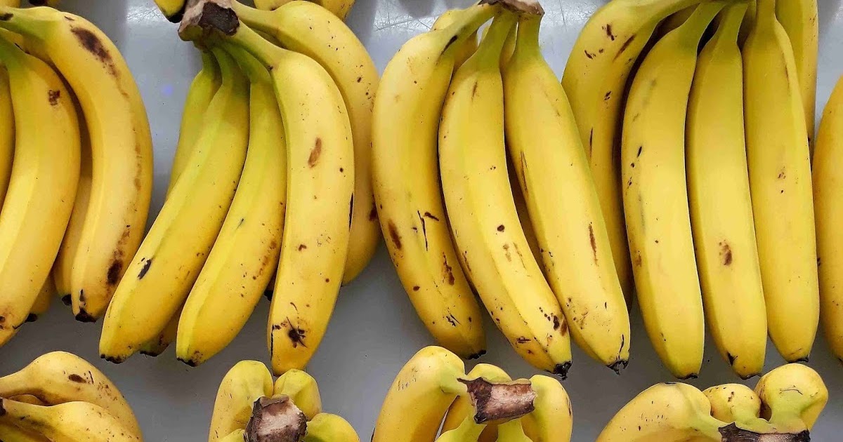 Бананы сорта и виды фото с названием