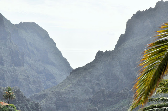 _DSC0882%2B%25282%2529.JPG