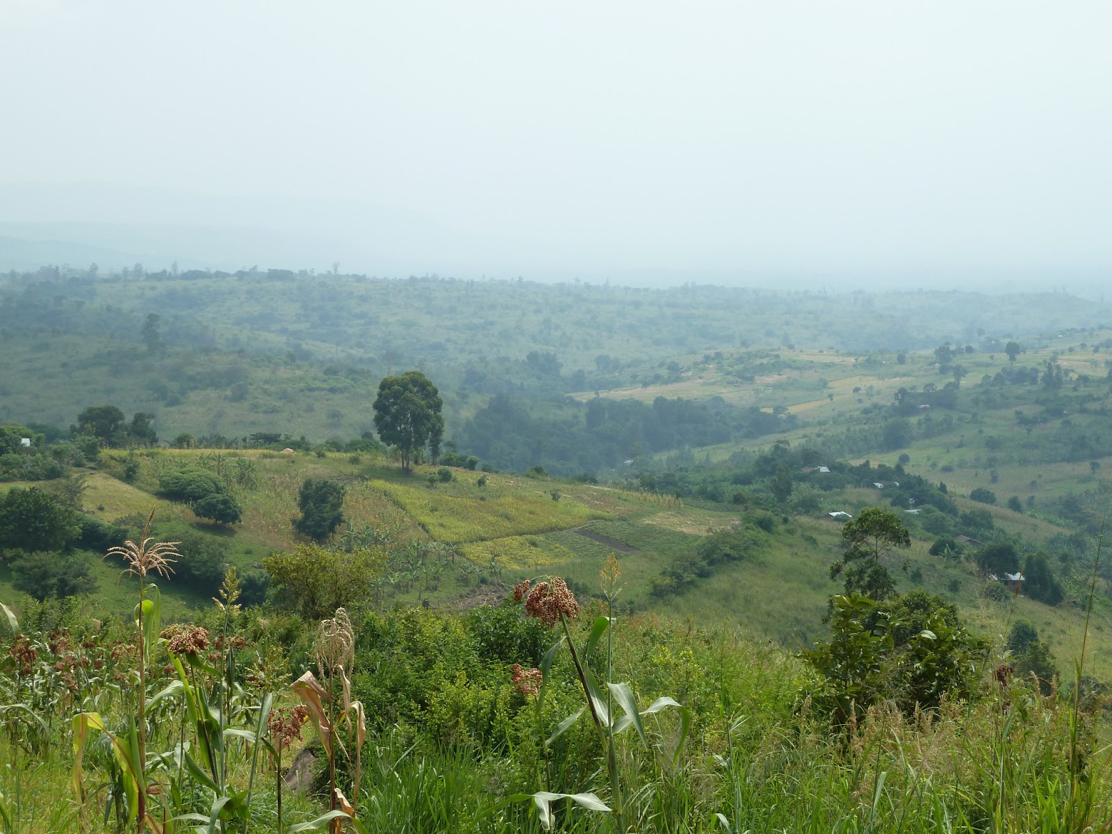 Uganda Soil Ecology and Sustainability First day of field work