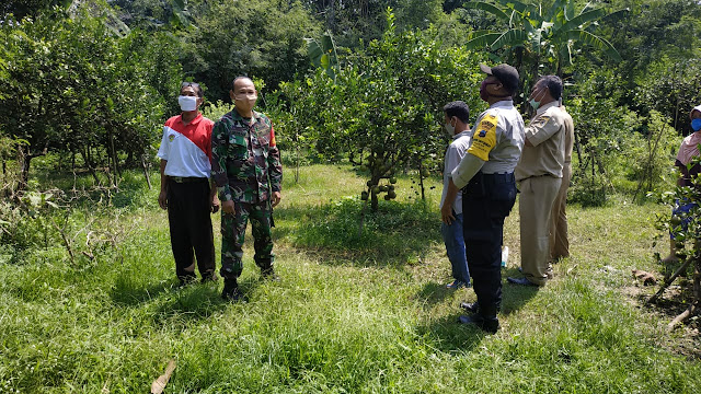 Babinsa Koramil Polanharjo berikan motivasi kepada petani jeruk
