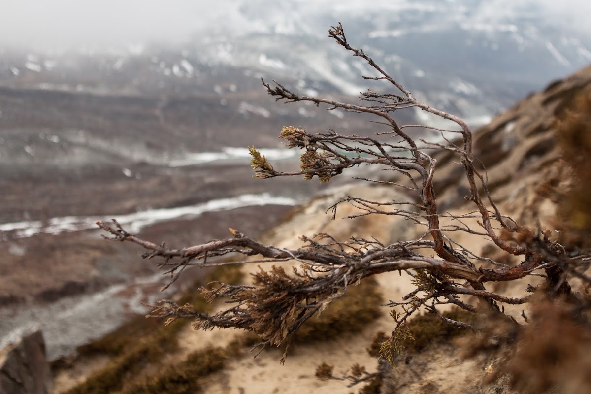 Three Passes trek. апрель 2019. Три перевала - это слишком много или всё-таки слишком мало?