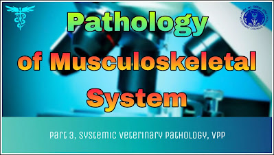 Pathology of Musculoskeletal System