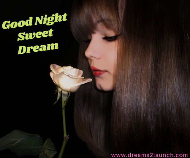 good night with rose good night with rose