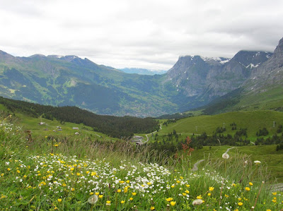 Paisaje, Suiza, landscape, Switzerland, paysage, Suisse, vuelta al mundo, round the world, La vuelta al mundo de Asun y Ricardo