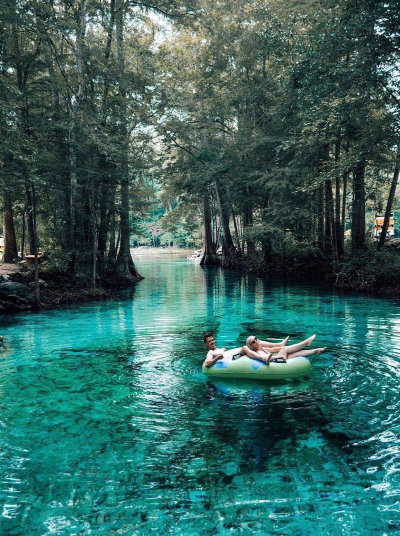 Ginnie Springs The clearest springs in Florida