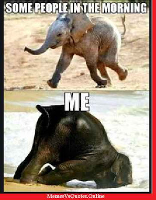 Here you get the best Funny Animal Memes that makes you laugh. Check out my website for more memes like this. Funny Animal Memes