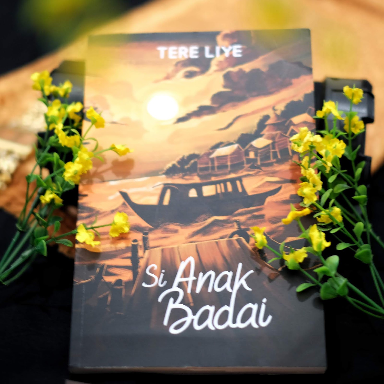 Dipta Nindie Resensi Novel si Anak Badai Karya Tere Liye