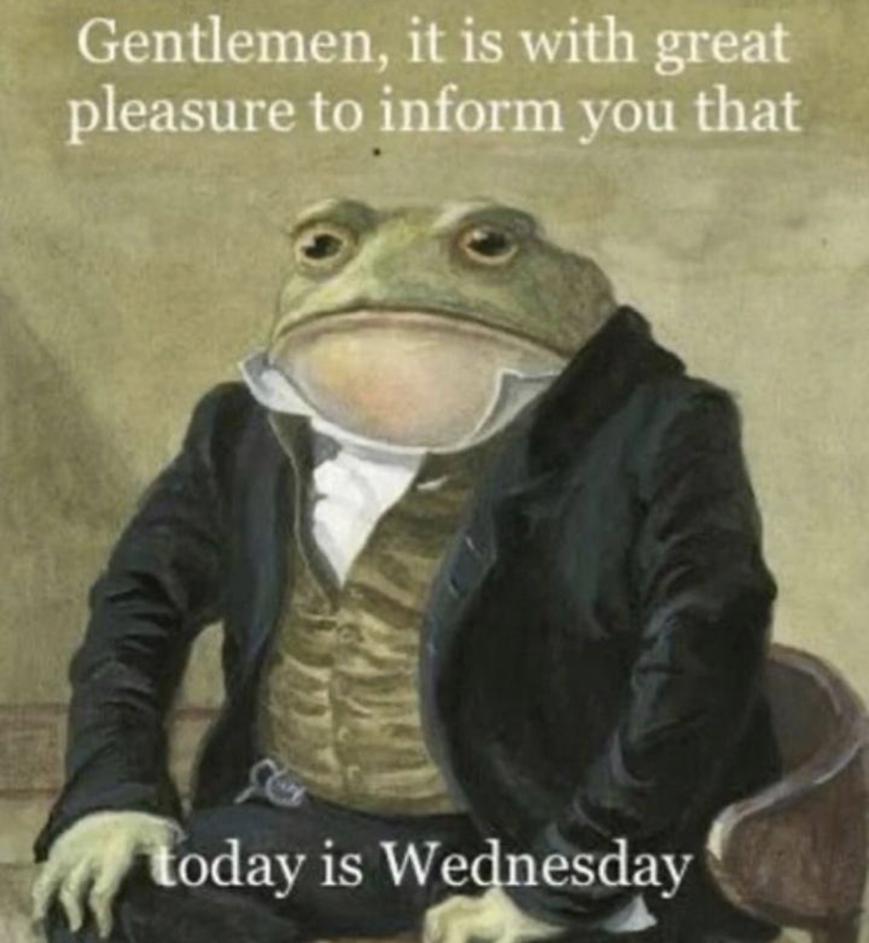 Wednesday Frogs Frog 56