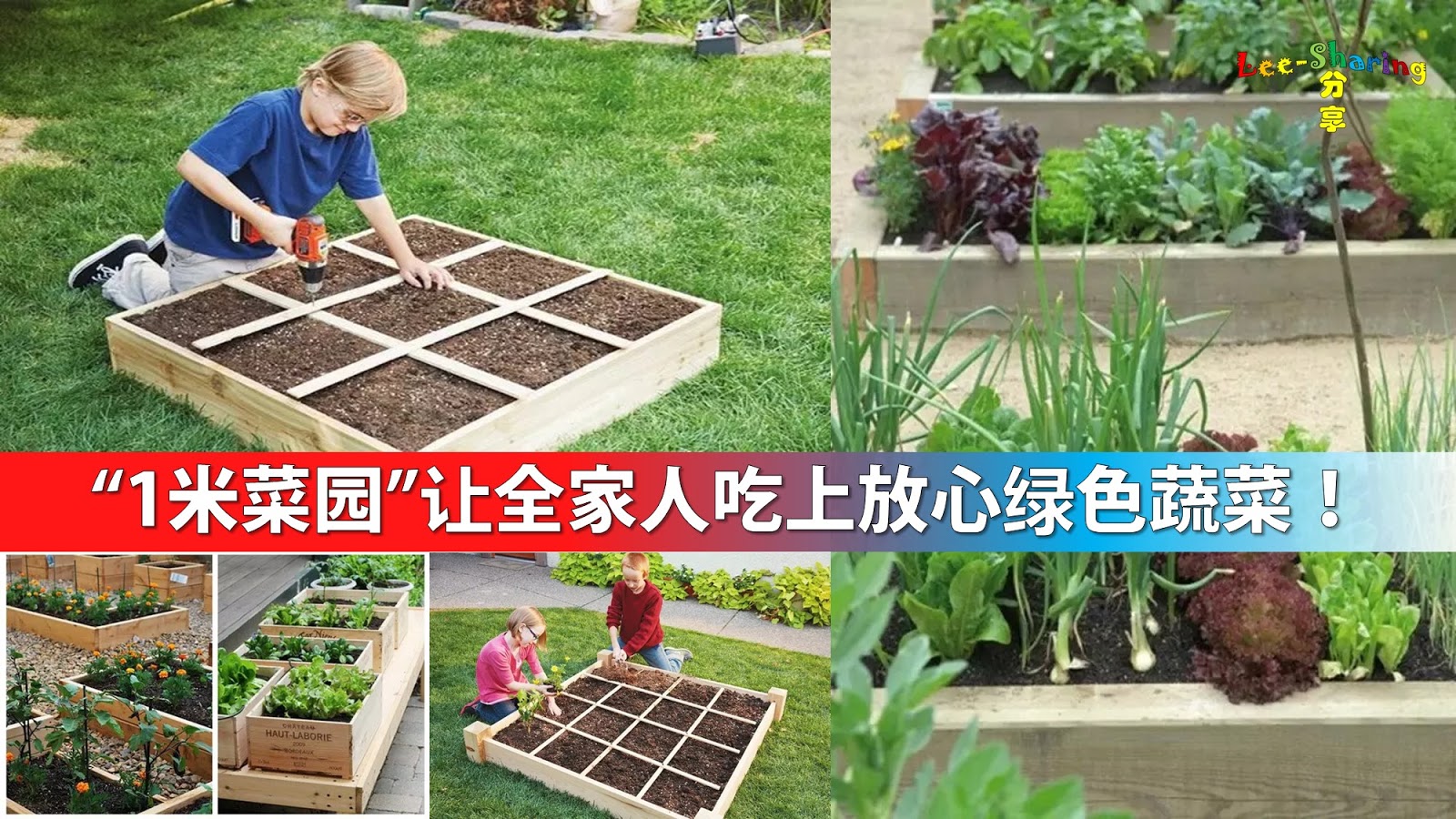增“颜”又增“值” 我县举办美丽庭院（一米菜园）创建PK赛-开化新闻网