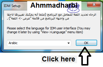 how to change idm language how to change idm language