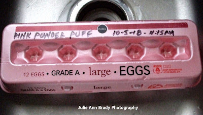Pink Powder Puff Seeds Knicked in Covered Egg Carton Pink Powder Puff Seeds Knicked in Covered Egg Carton