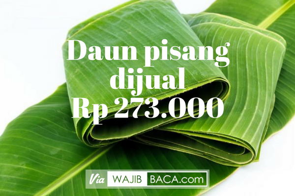 Waw...Ditempat ini Daun Pisang Dijual Online Seharga Rp. 273.000,00 Netizen Dibikin Heboh