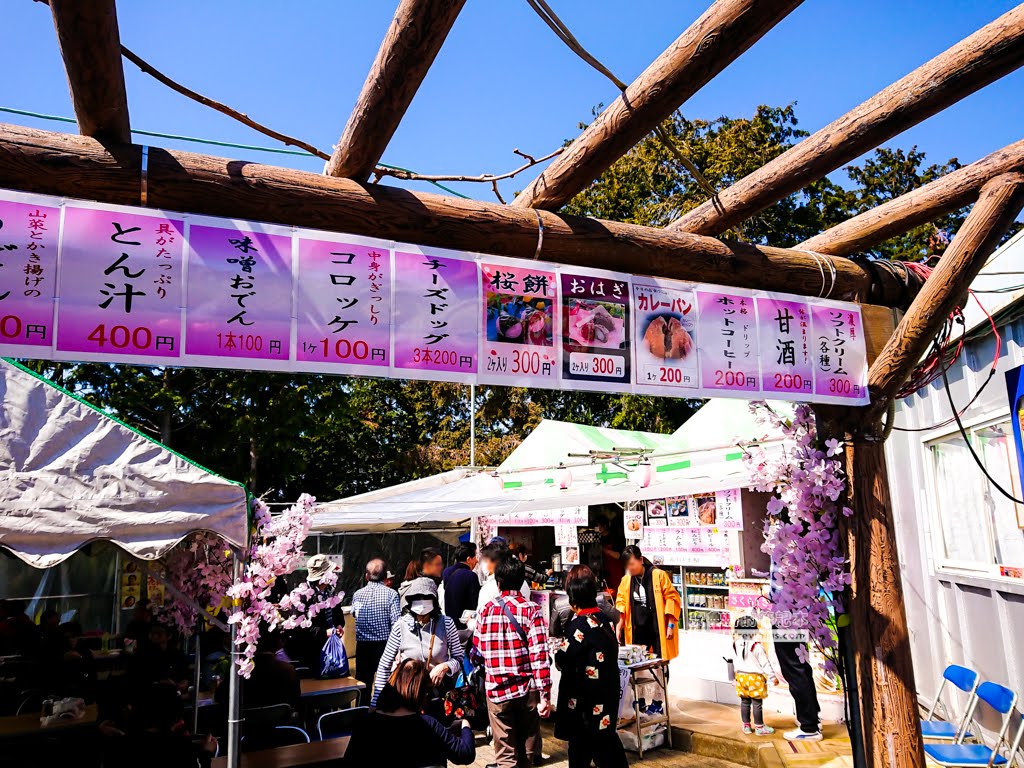 日本賞櫻,河津櫻,松田町賞櫻祭,河津櫻富士山,西平畑公園,