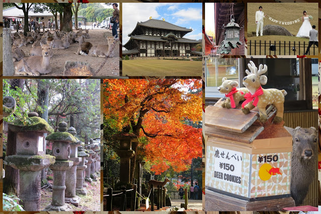 Scenes from Nara, Japan