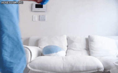8.gif