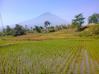 Gunung Cikuray