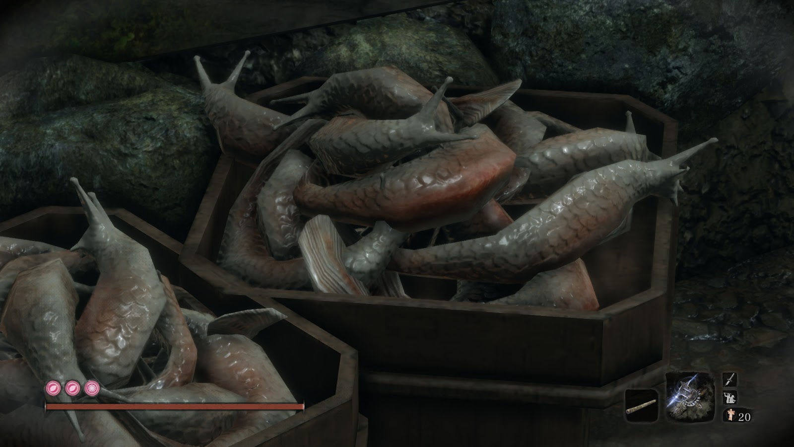蛞蝓魚