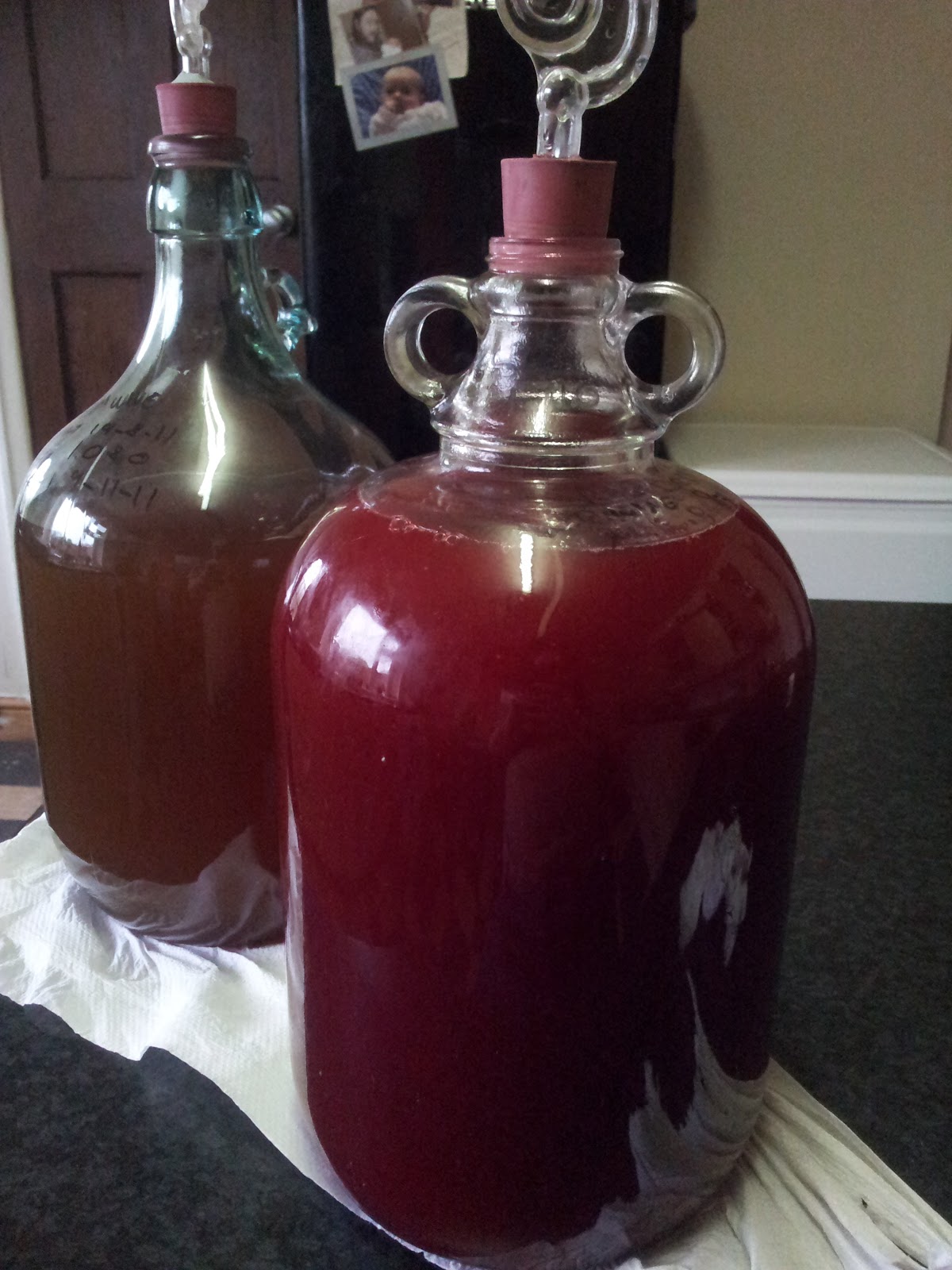 A Buzz About Life Raspberry Wine From Frozen Fruit