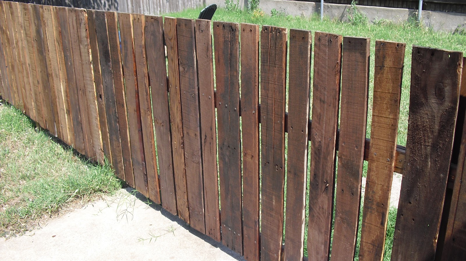 which stores allow dogs inside