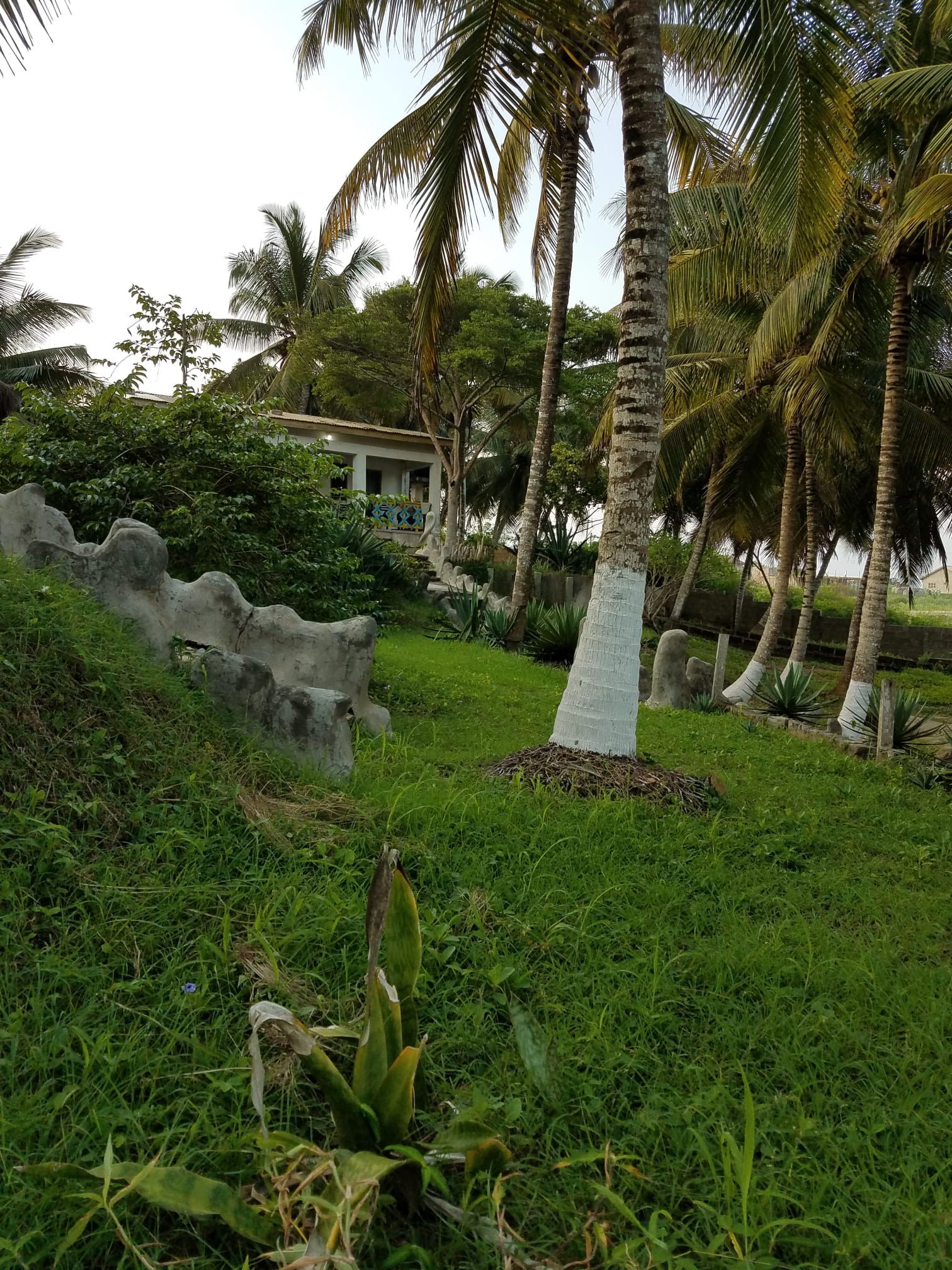 volunteer in Apam, volunteer project, volunteering opportunities, eco-building, Ghana, teaching, exchange, free hospitality