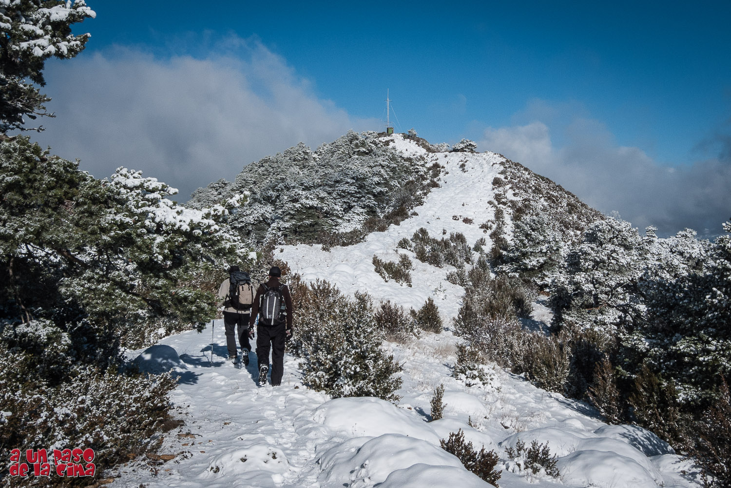 Pico del Águila a un paso de la cima Pico del Águila a un paso de la cima