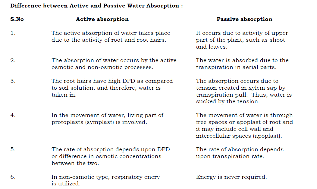 Relative Importance of Active and Passive Absorption