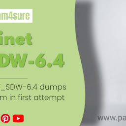 New NSE7_SDW-6.4 Cram Materials