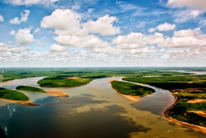 Дельта Дона. Путеводитель по Азову и Азовскому району #природа #биология #книги_