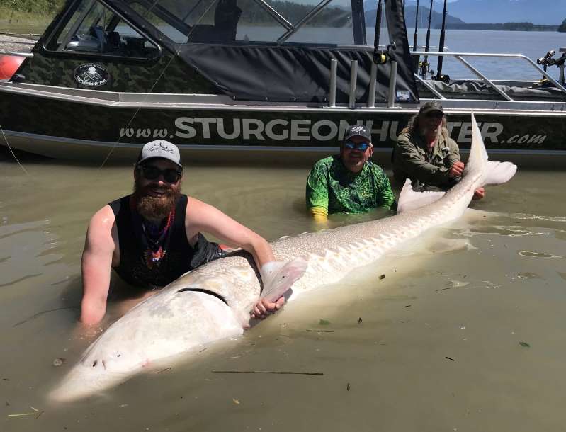How to Catch Sturgeon - How to Fish the Fraser River for Sturgeon 