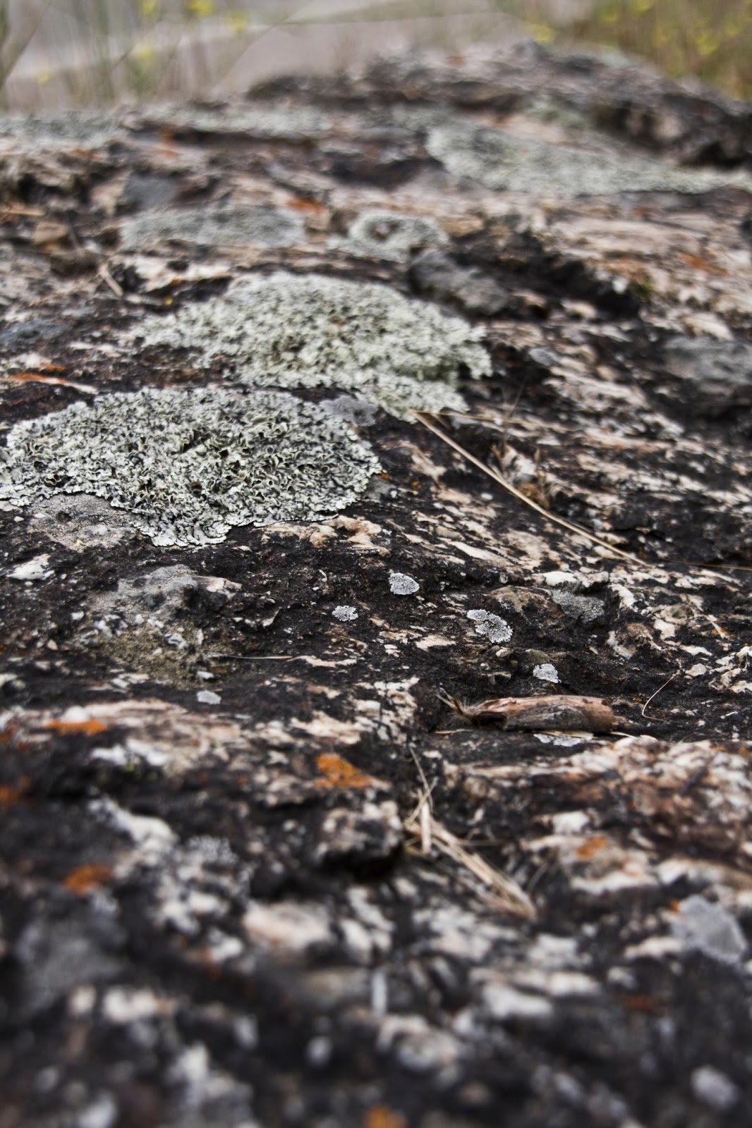 Offshore Winds Surf Trip to San Luis Obispo, Part 1