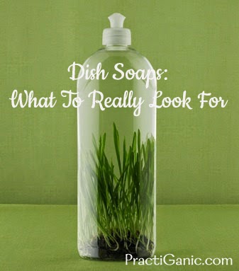 Dish Soap Can Damage Your Plants - Don't use it.