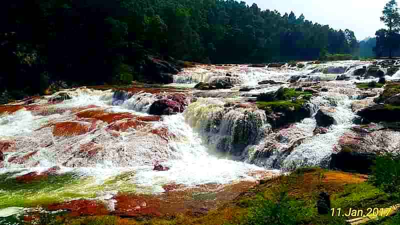 Pykara Waterfall Ooty tourist places